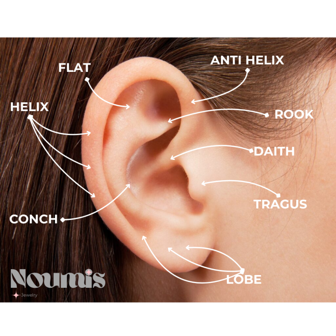 Bannière des emplacements de piercings